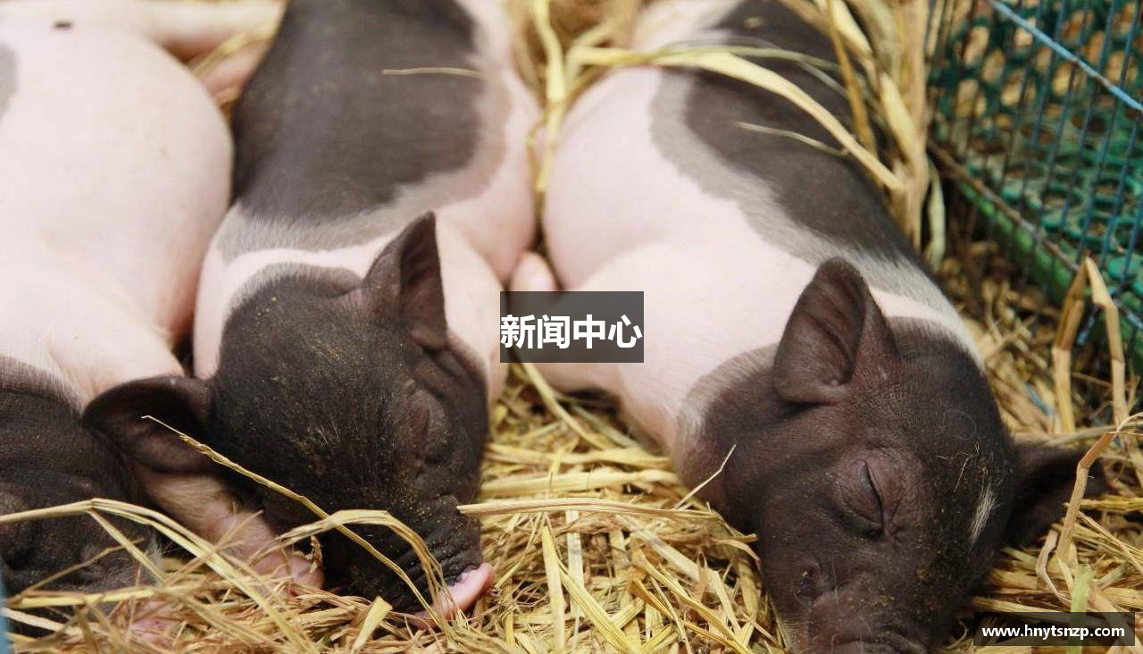新闻中心